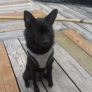 Meet your Posher, Karl